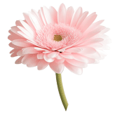 emoji fleur